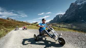 First Mountain Cart First Mountain Cart